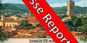 reportlite